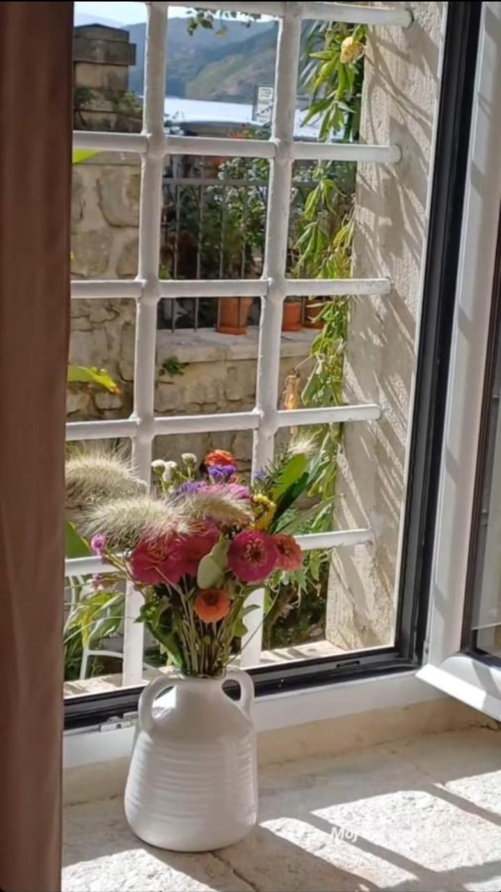 Pogled kroz prozor apartmana