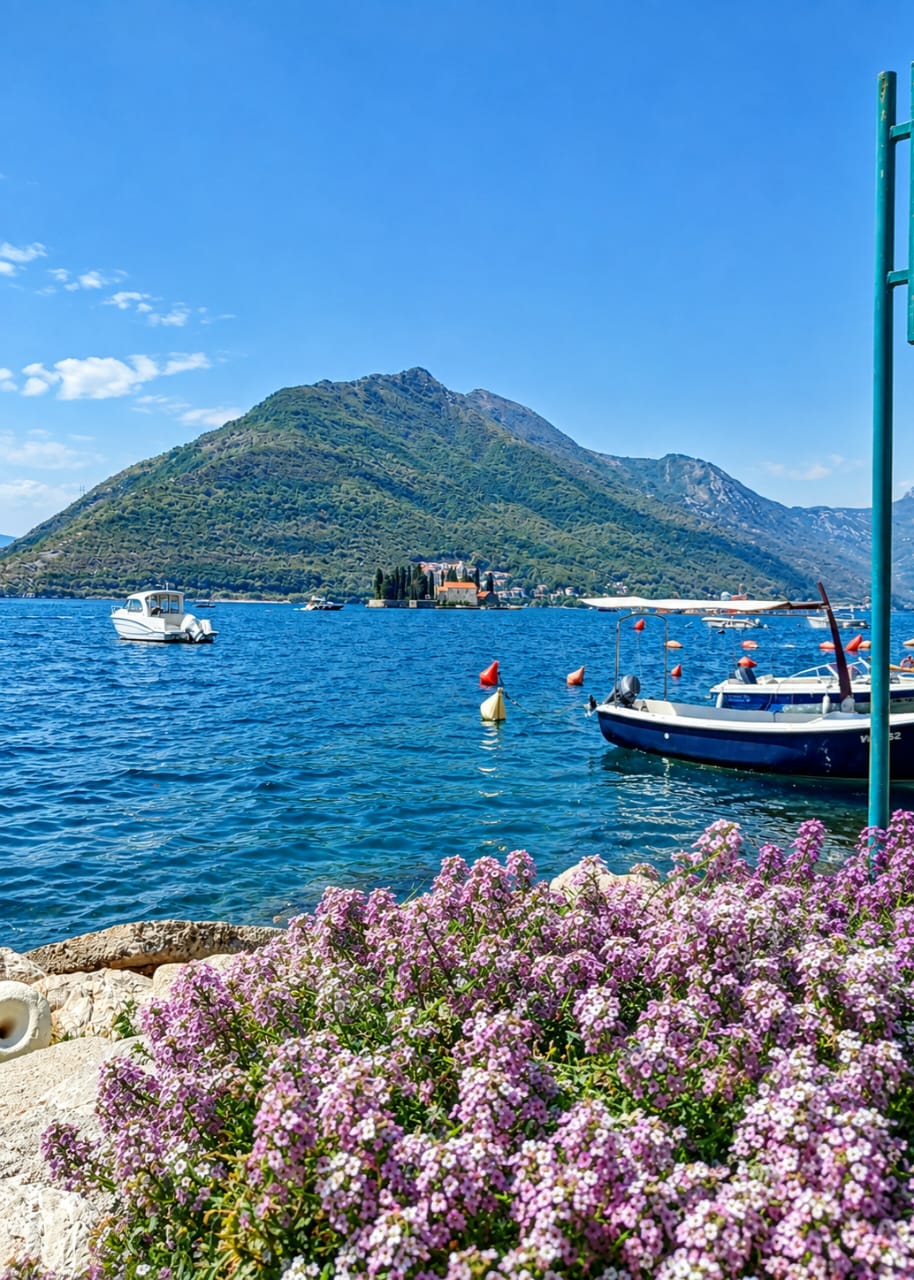 Pogled na zaliv Boke kroz cvijeće
