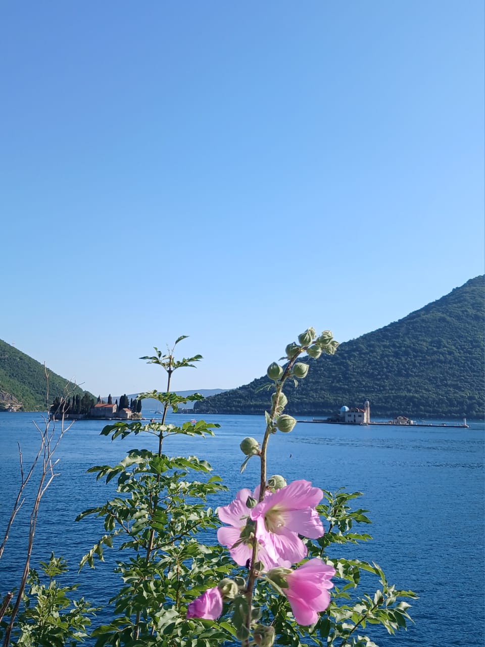 Zlatni goblen, simbol jedne ljubavi